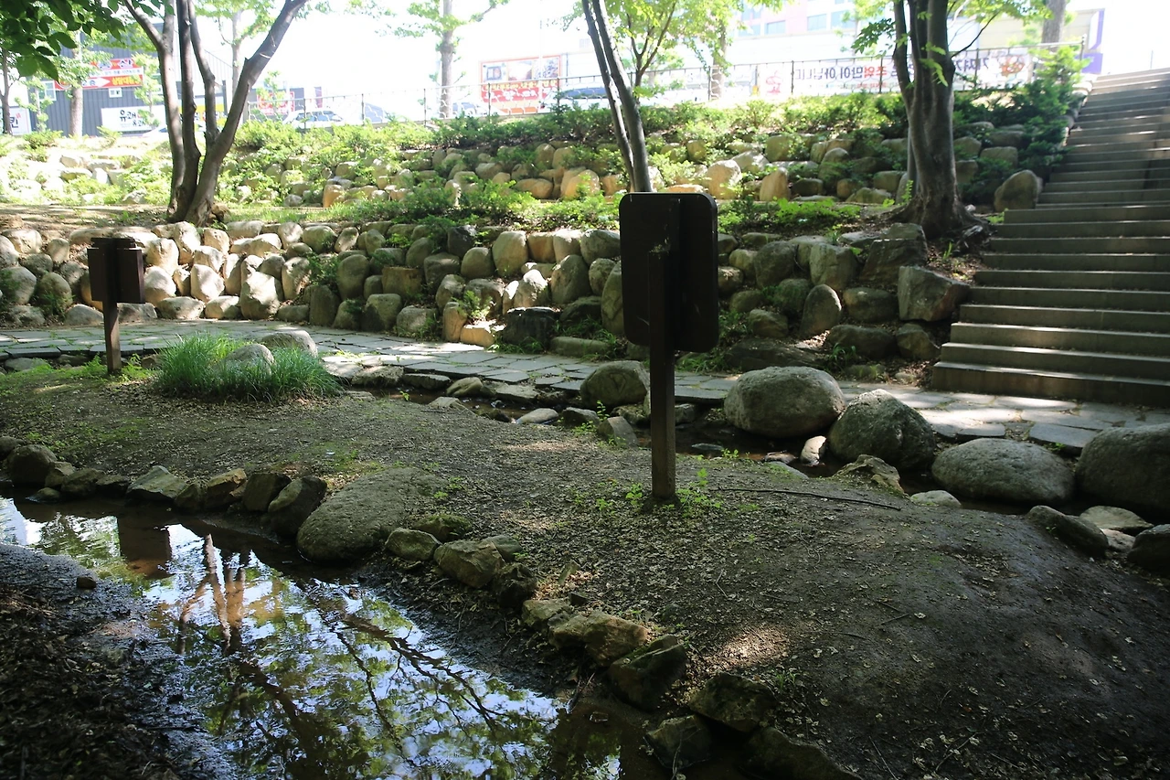 MG0A0077_новый размер.JPG