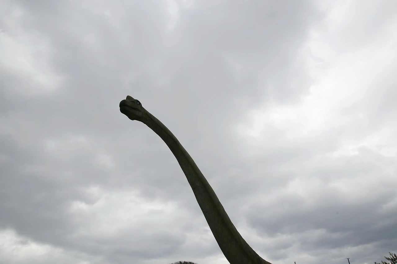 MG0A2951_новый размер_exposure.JPG