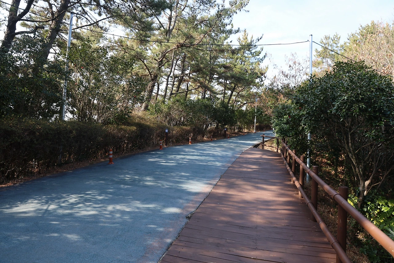 0R5A2203_новый размер.JPG