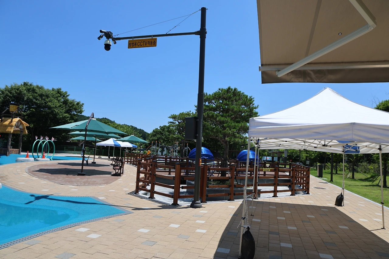 0R5A8289_новый размер.JPG