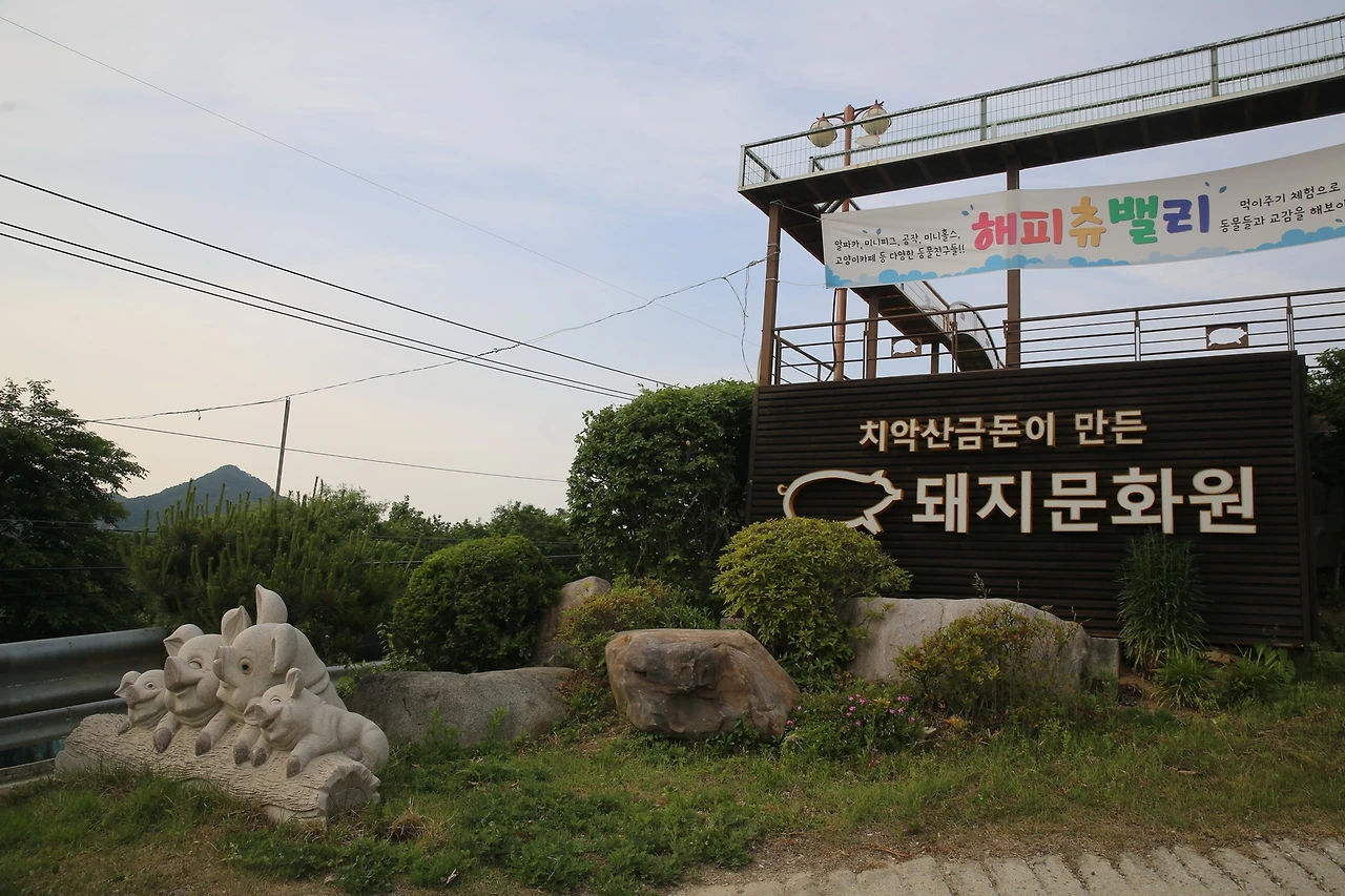 MG0A1041_новый размер.JPG