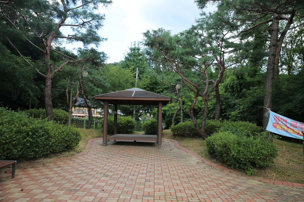 MG0A7852_новый размер.JPG