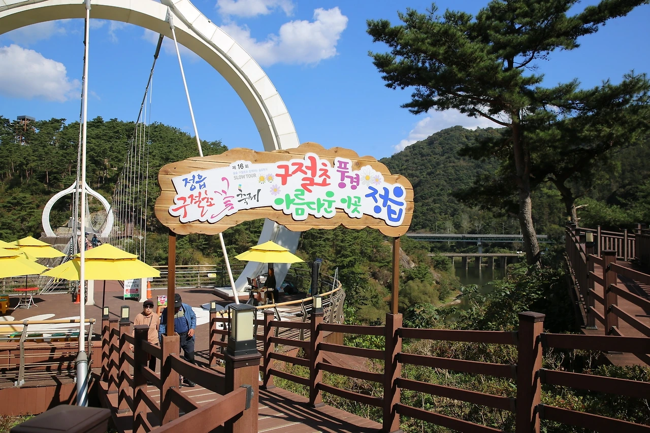 MG0A6240_новый размер.JPG