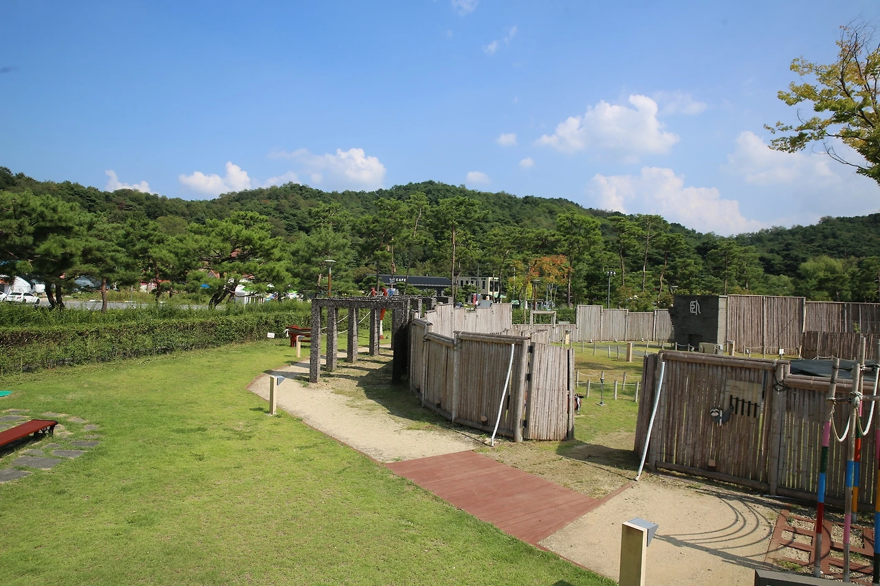 MG0A0404_новый размер.JPG