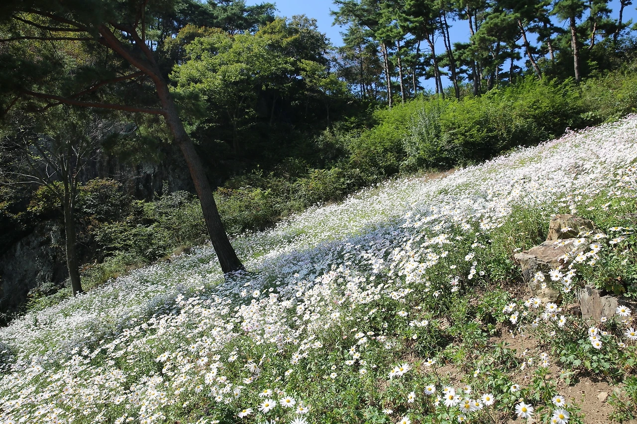 MG0A6209_новый размер.JPG