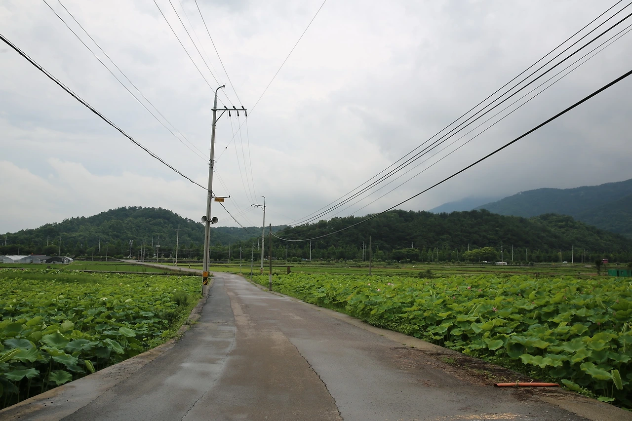 MG0A3666_новый размер.JPG