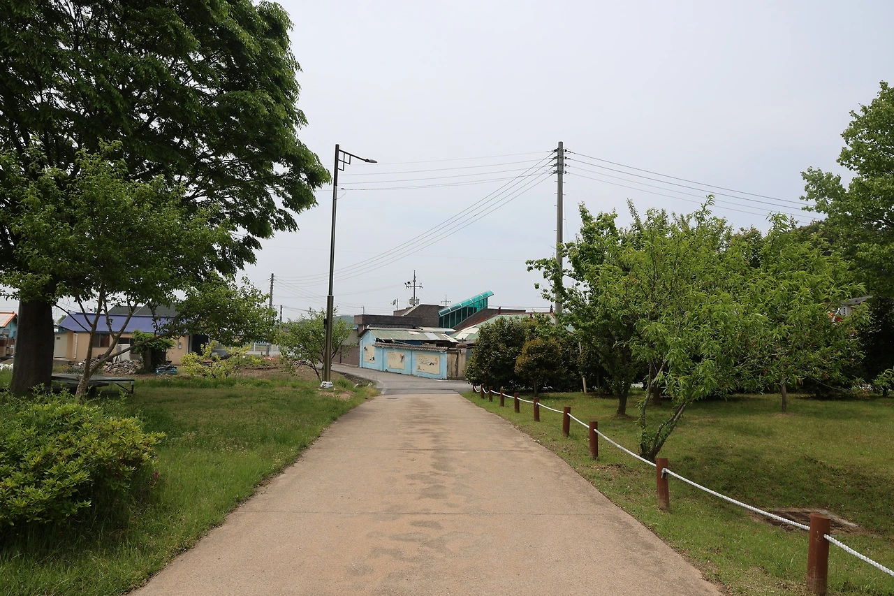 0R5A0364_новый размер.JPG