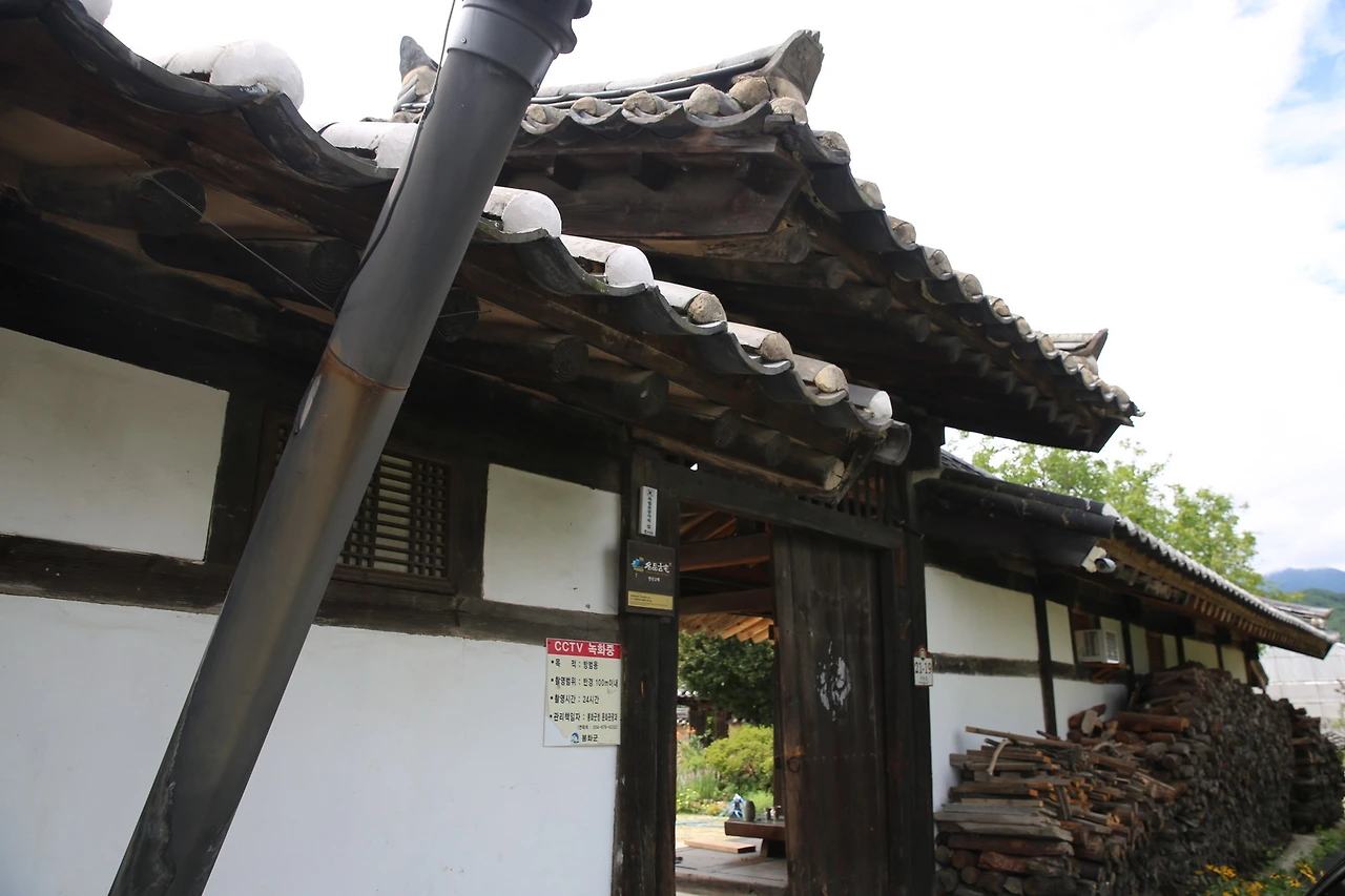 MG0A6595_новый размер.JPG