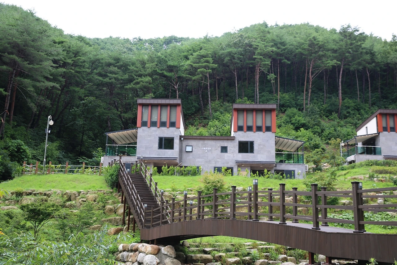 MG0A6543_новый размер.JPG