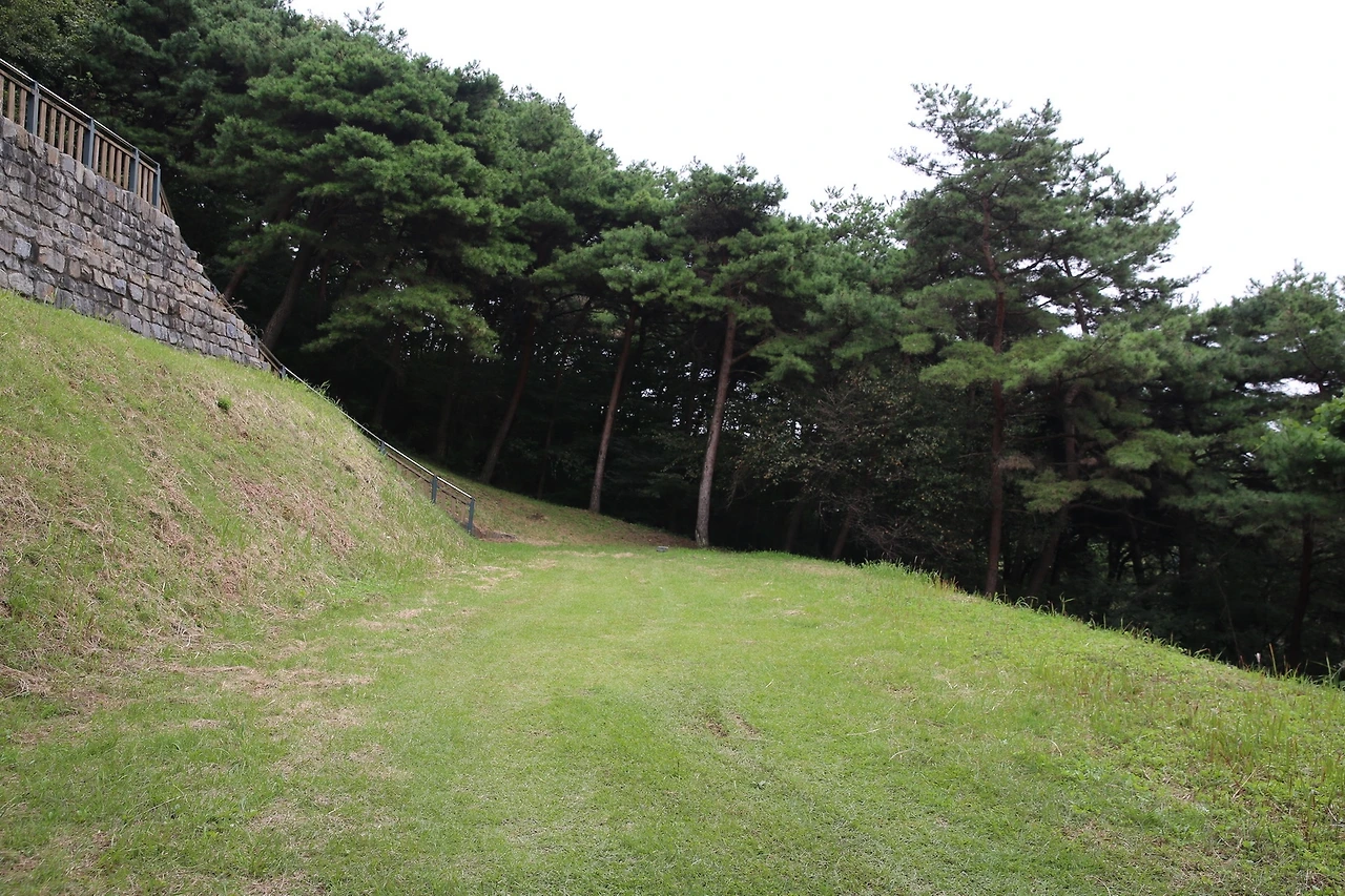 MG0A5149_новый размер.JPG