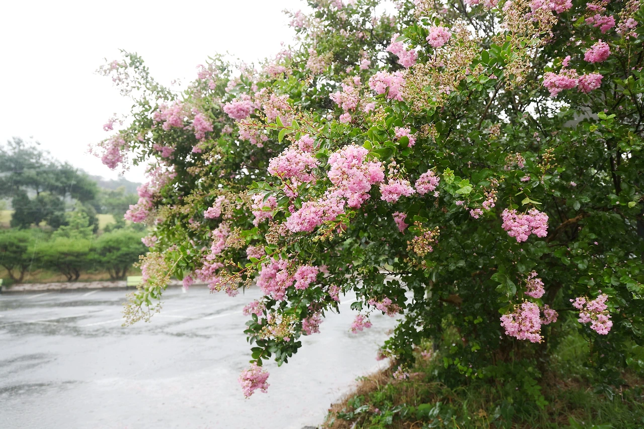 0R5A0823_новый размер_exposure.JPG