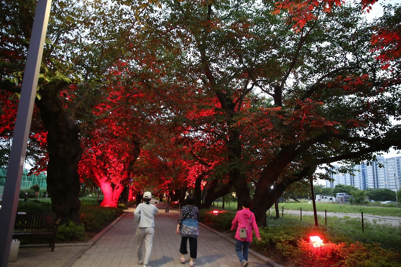 MG0A5591_новый размер.JPG