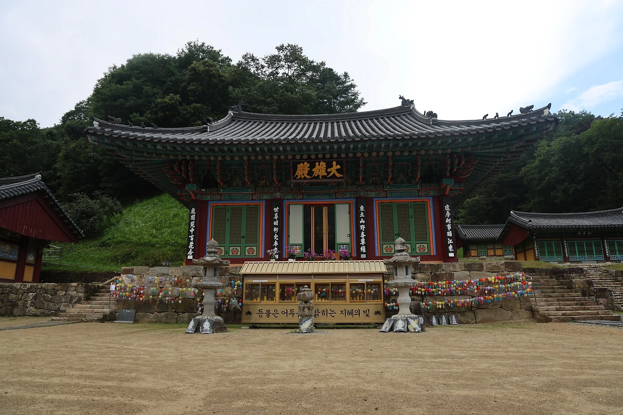 0R5A7611_новый размер.JPG