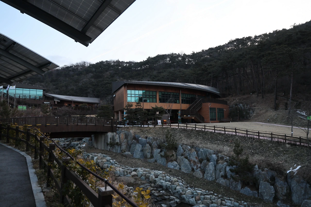 0R5A0035_новый размер.JPG