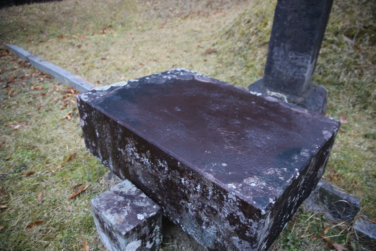 MG0A5964_новый размер.JPG