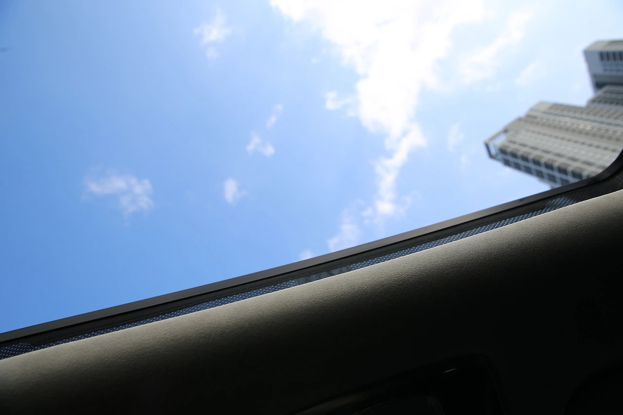 MG0A3193_новый размер.JPG