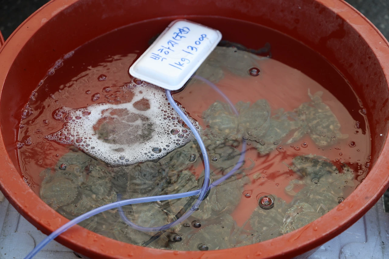 0R5A7568_новый размер.JPG