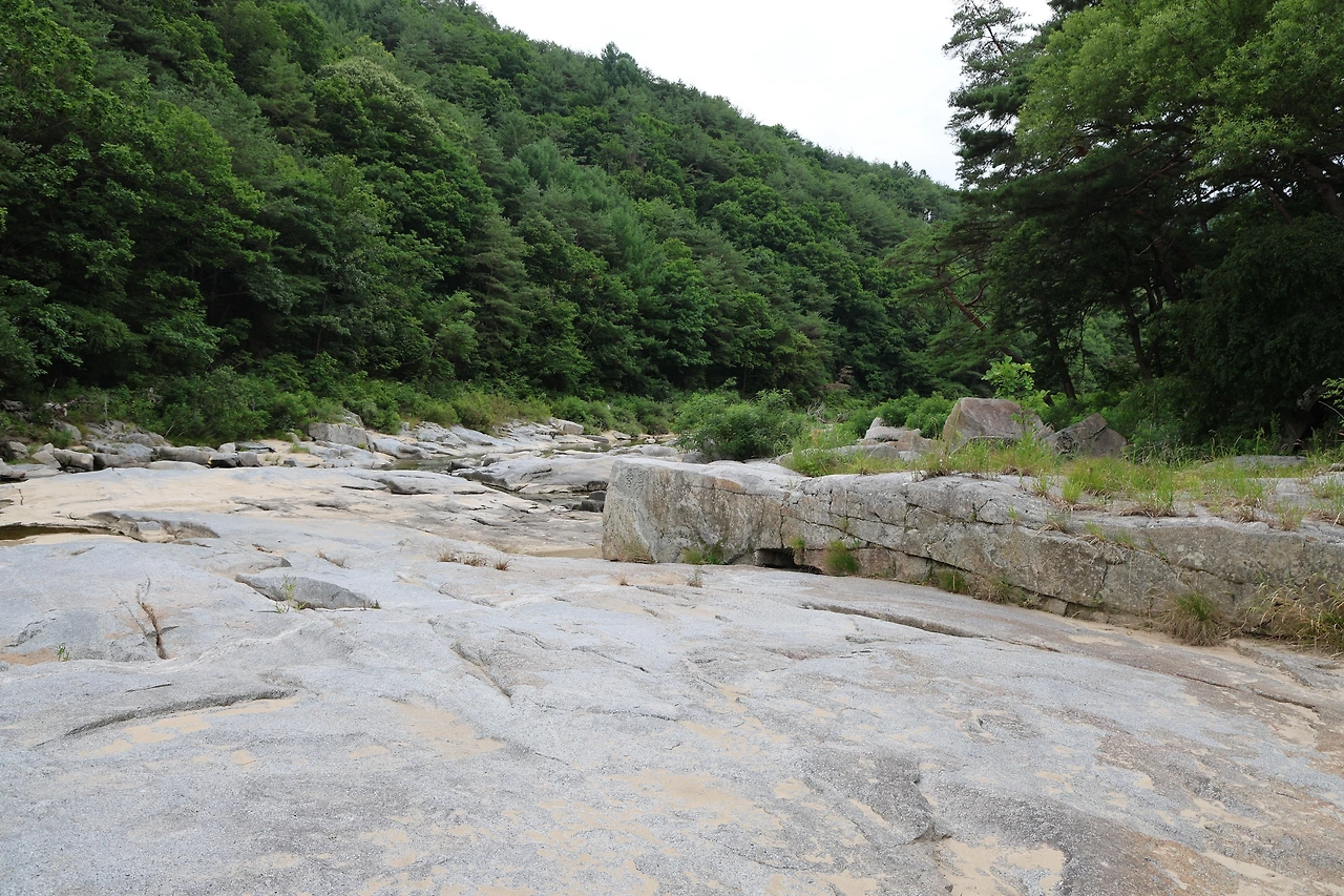 0R5A8609_новый размер.JPG