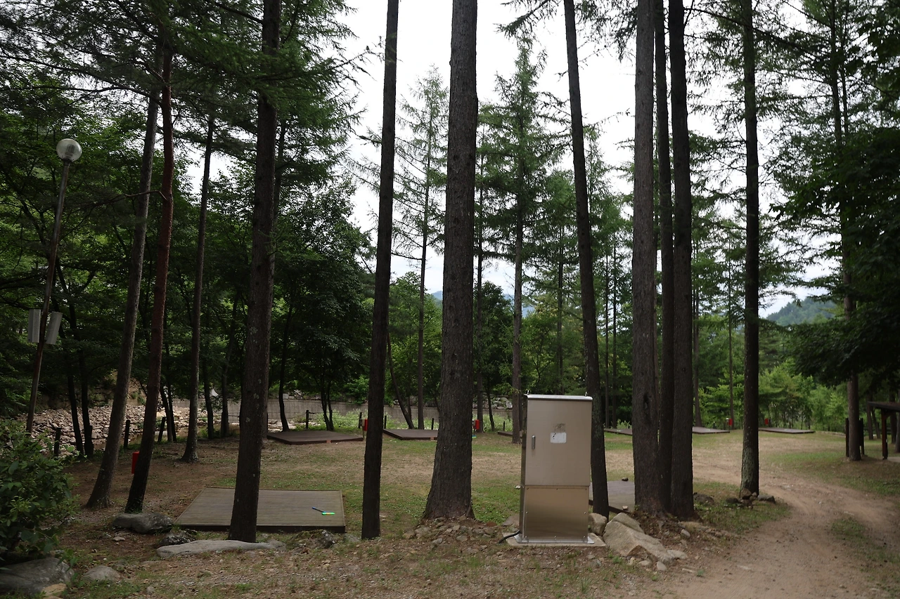 0R5A8657_новый размер.JPG