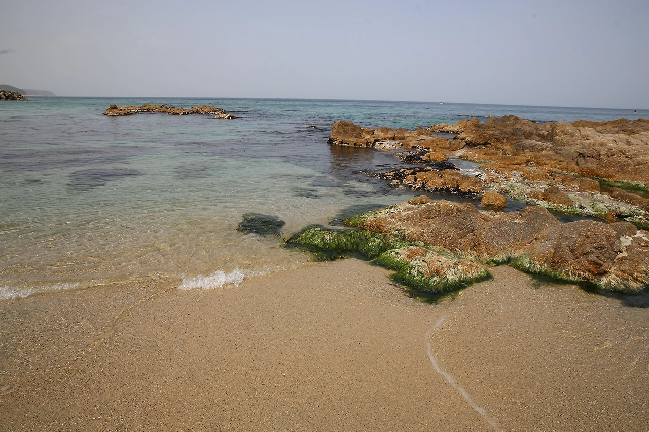 MG0A9817_новый размер.JPG