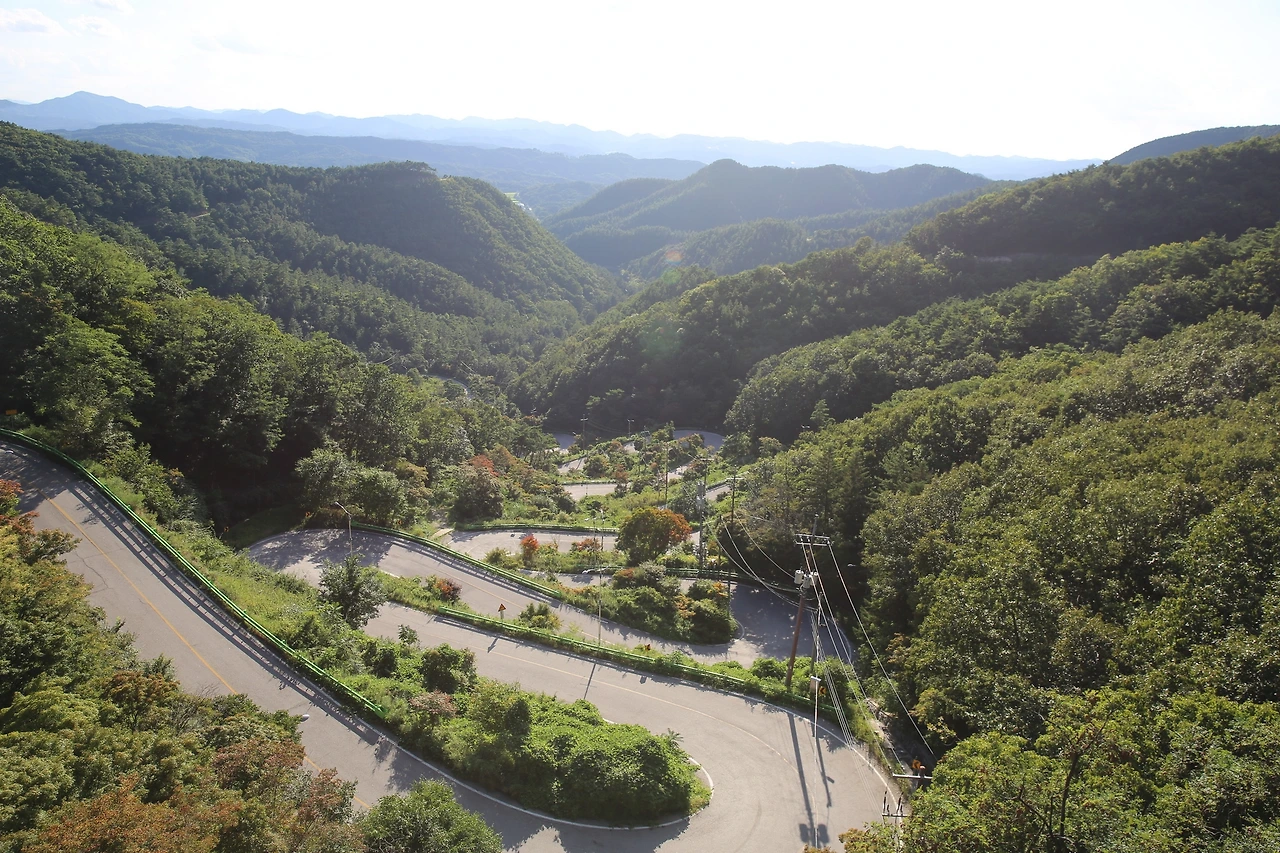 MG0A9072_новый размер.JPG