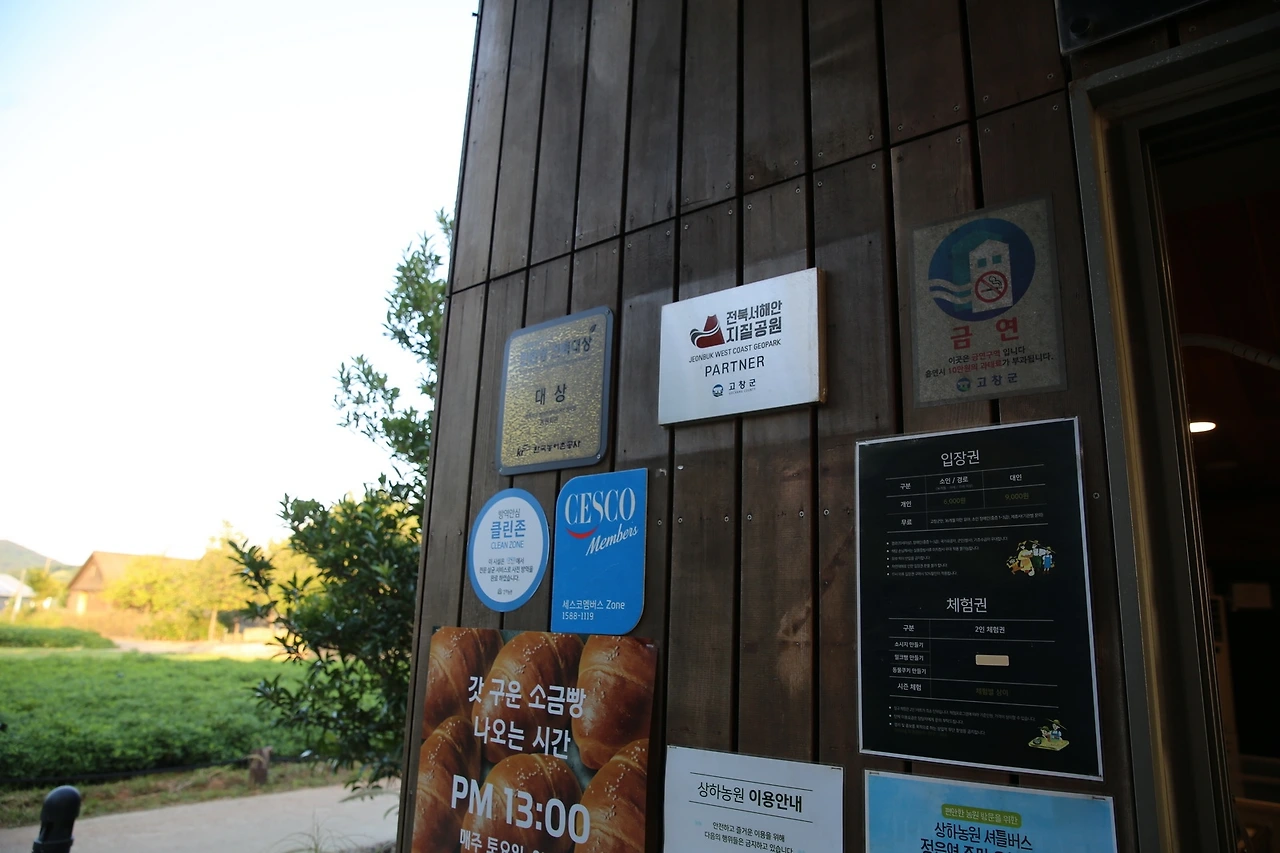 MG0A1386_новый размер.JPG