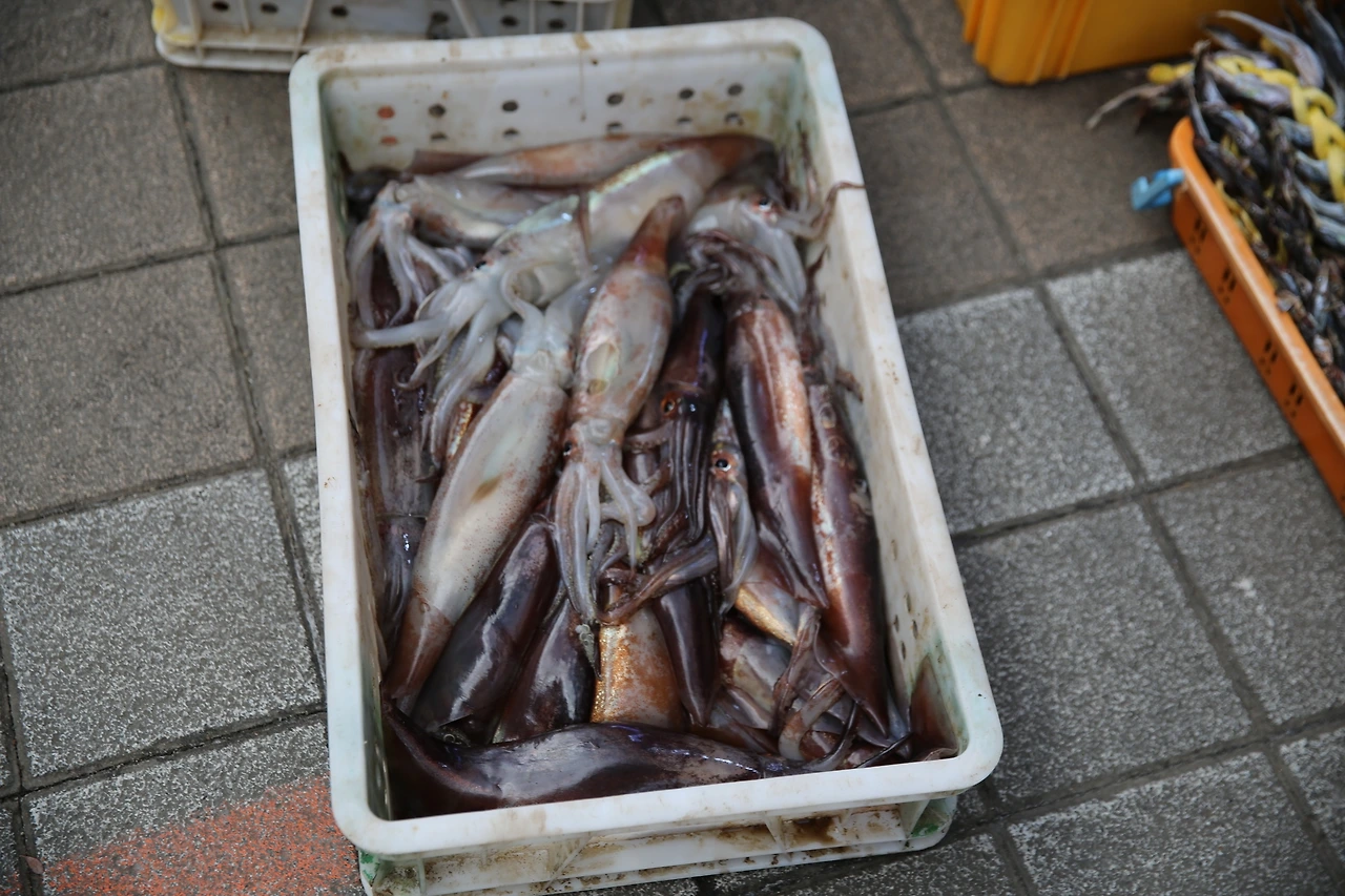 MG0A4767_новый размер.JPG