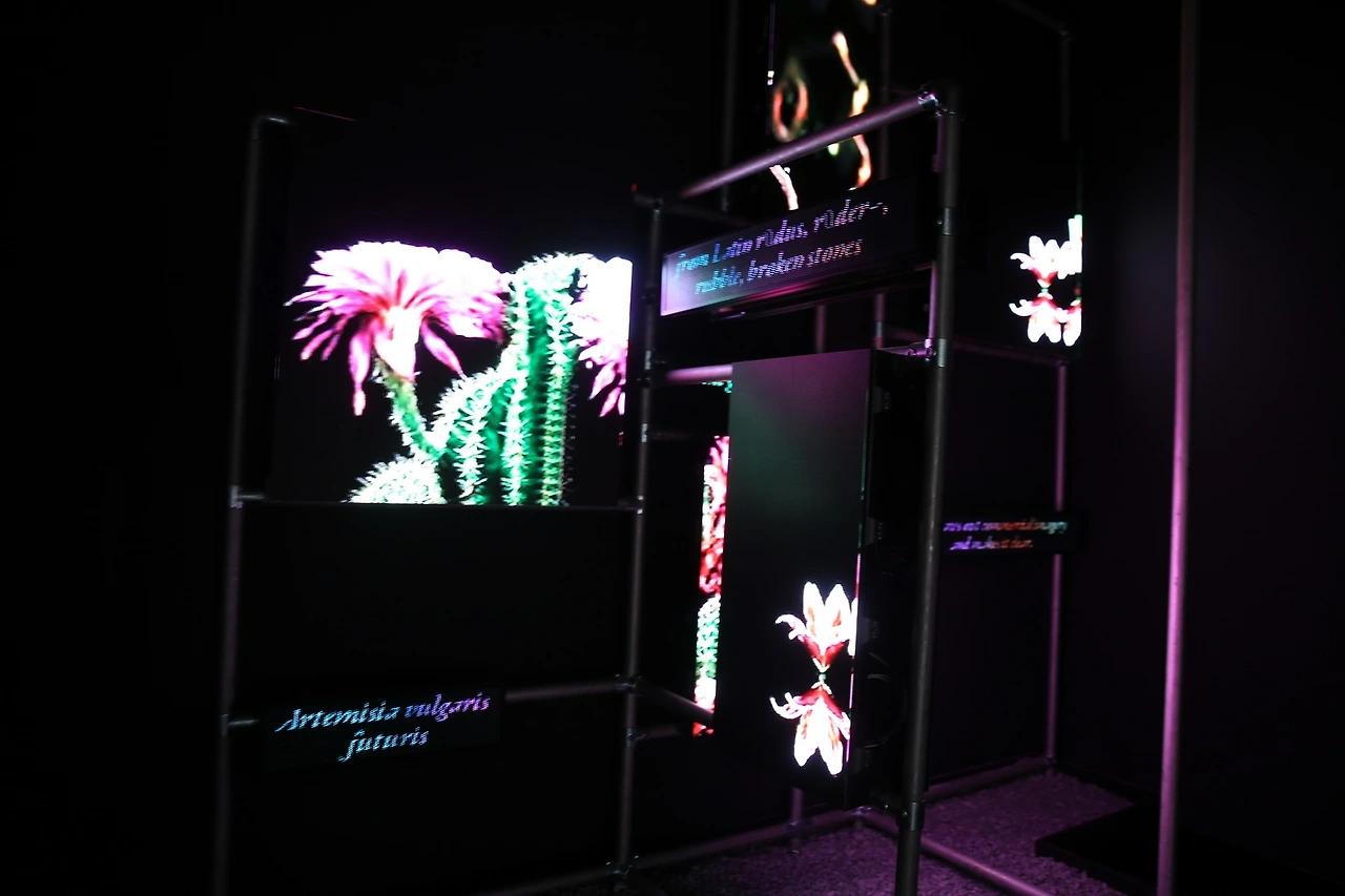 MG0A1379_новый размер.JPG