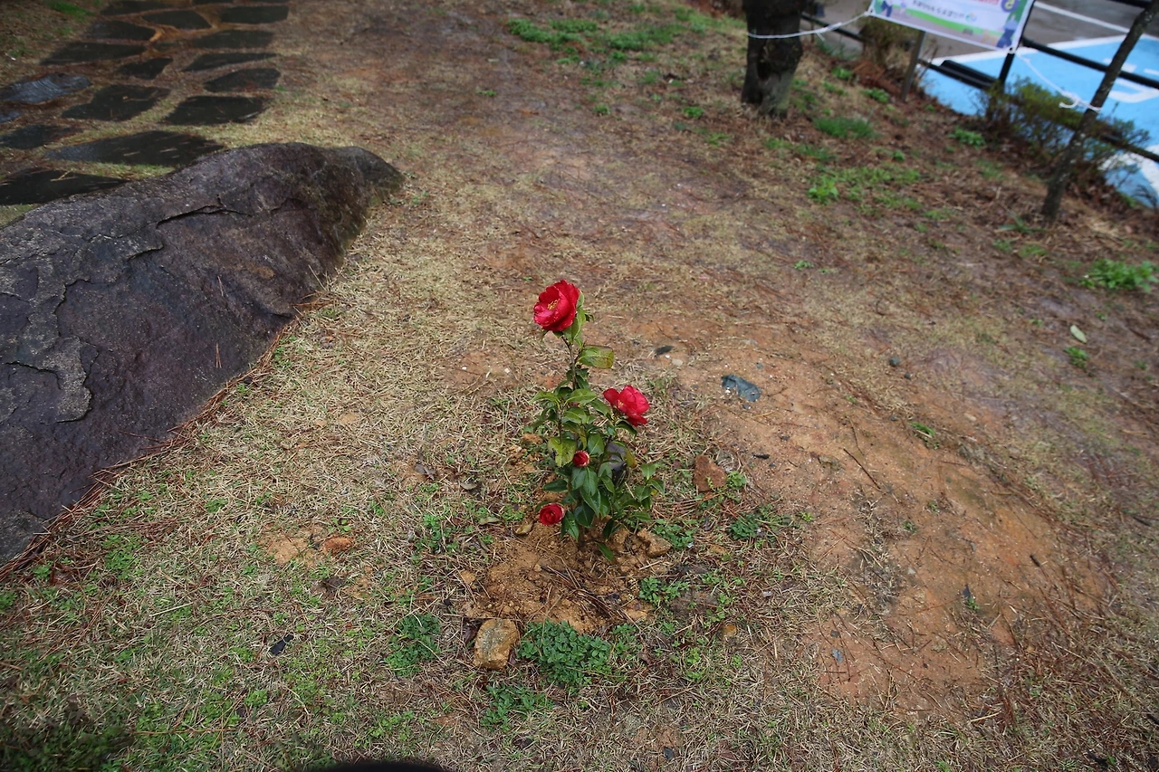 MG0A6379_новый размер.JPG