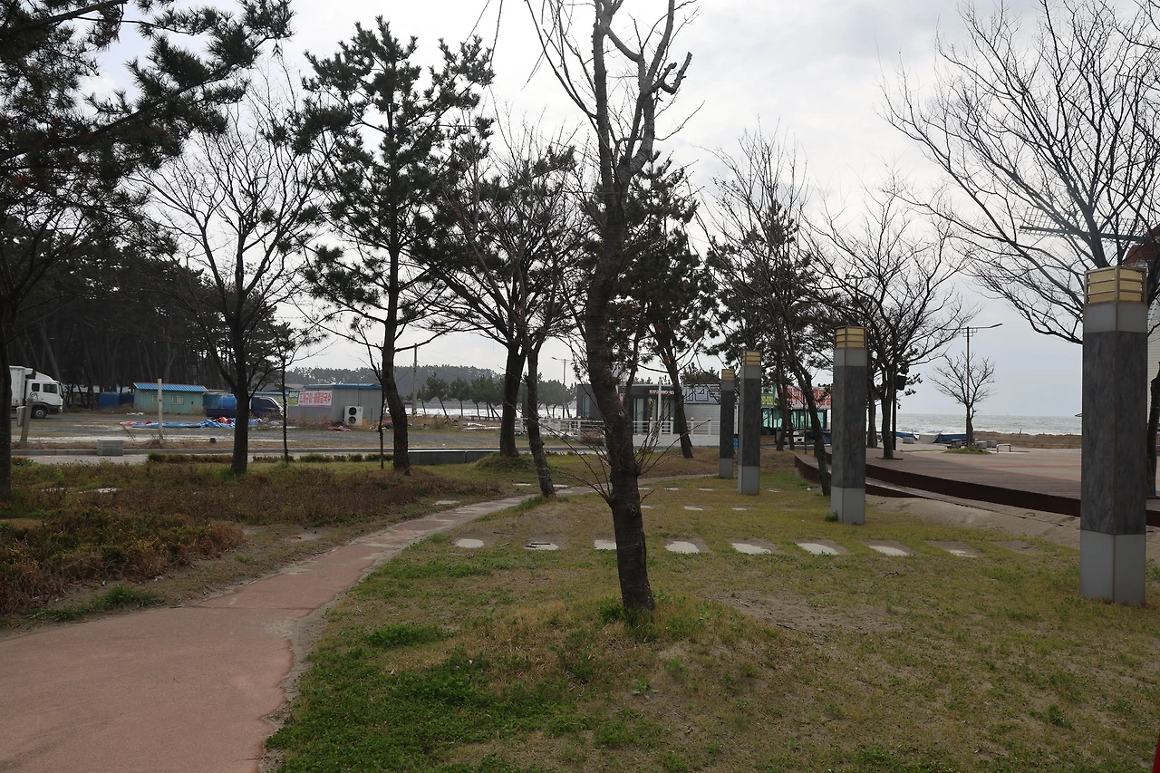 0R5A6660_новый размер.JPG