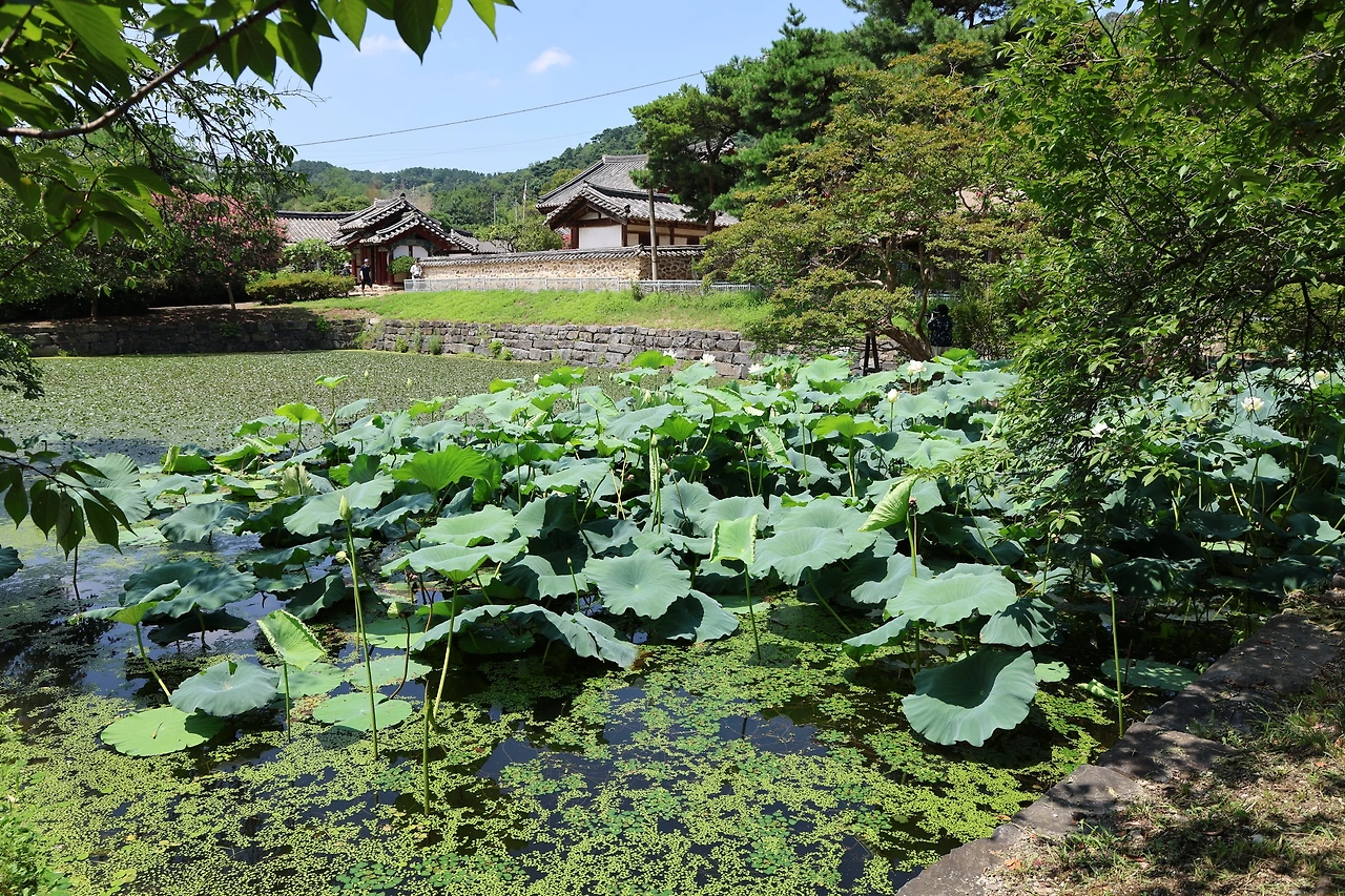 0R5A0862_новый размер.JPG