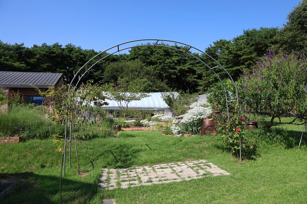 0R5A3775_новый размер.JPG