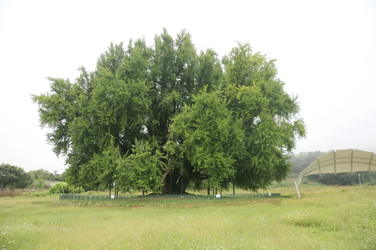 MG0A3570_новый размер_exposure.JPG