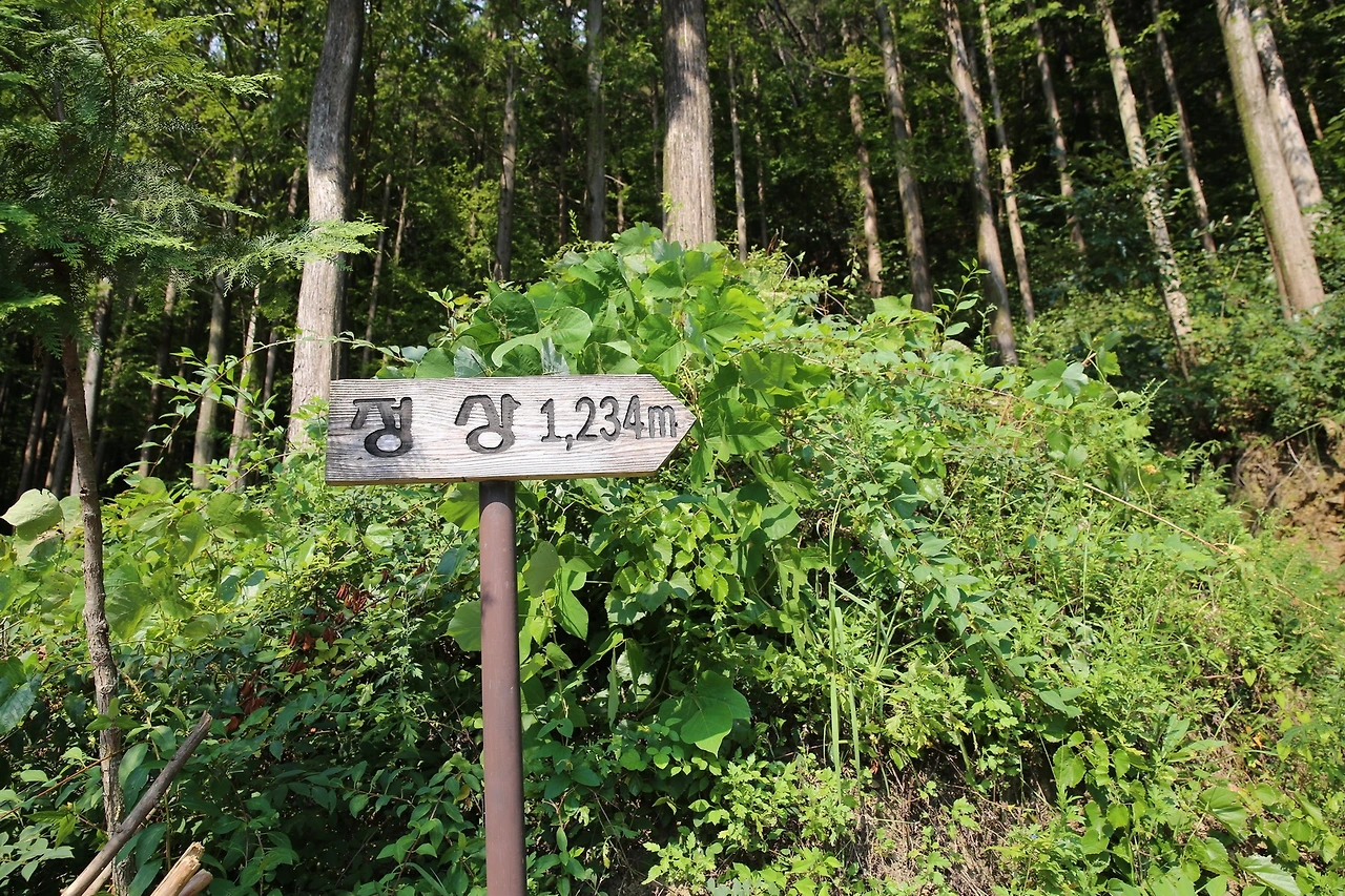 MG0A1520_новый размер.JPG