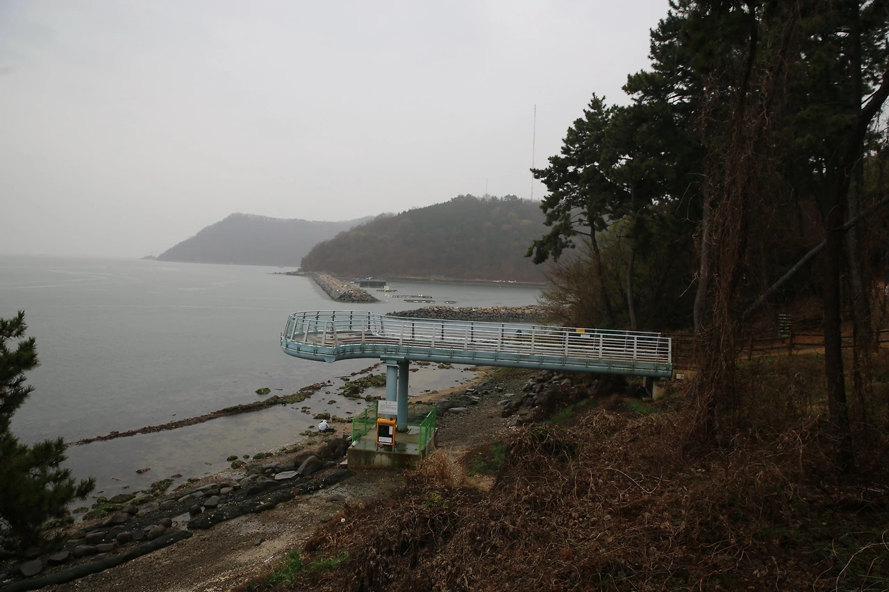 MG0A6373_новый размер.JPG