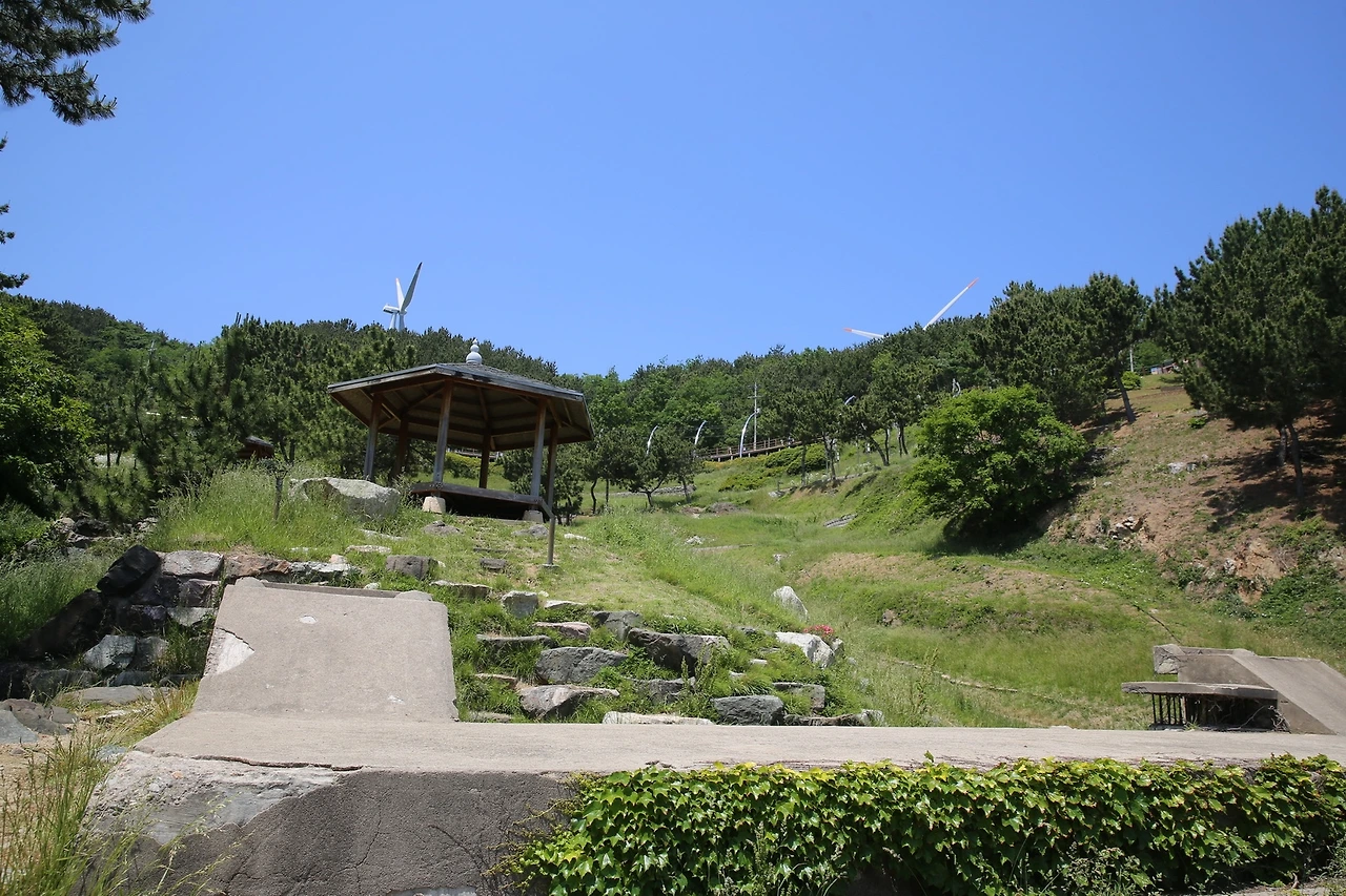 MG0A9242_новый размер.JPG