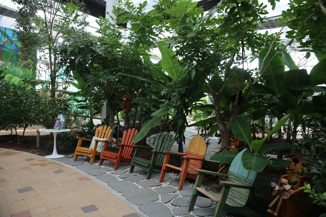 MG0A0454_новый размер.JPG