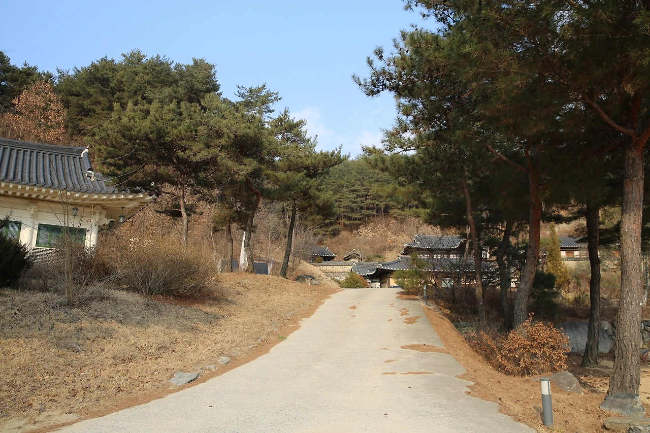 MG0A6363_новый размер.JPG