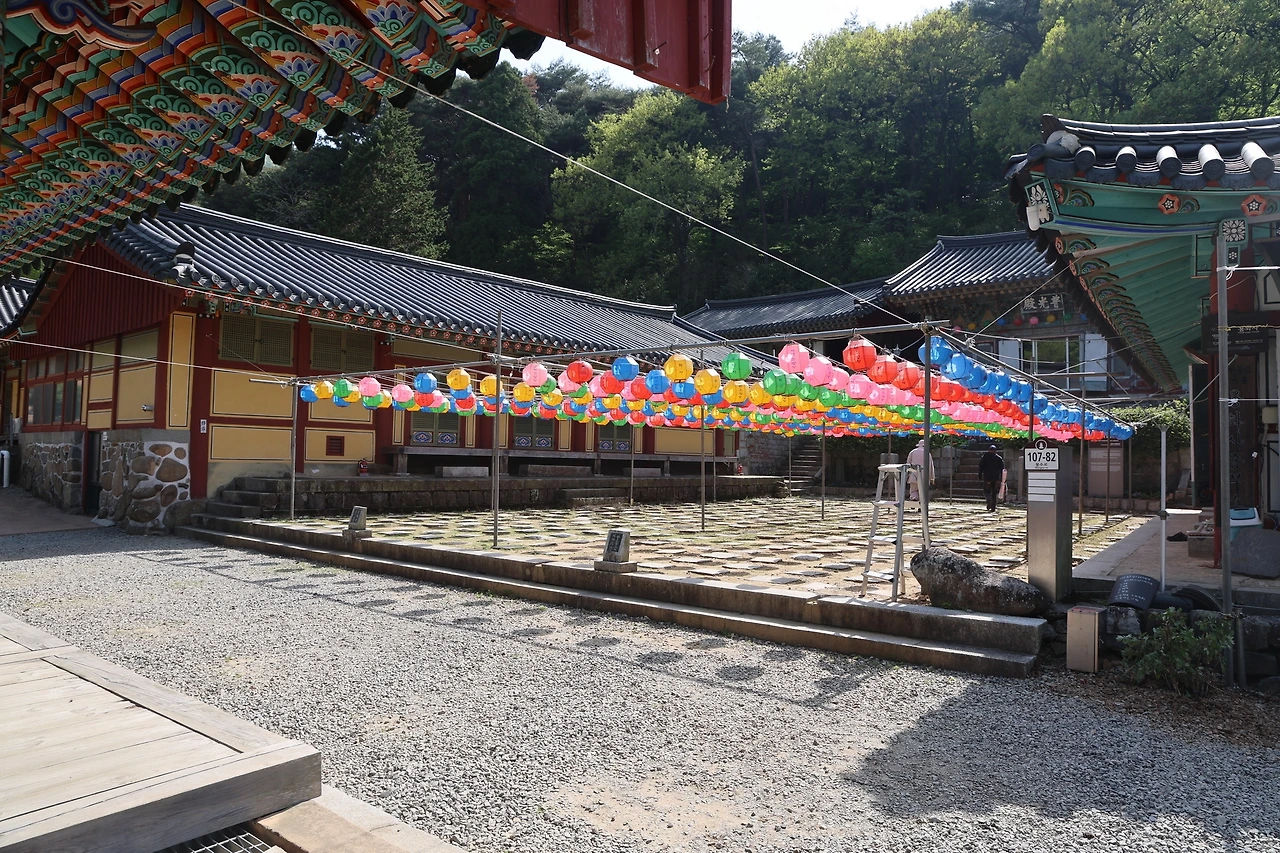 0R5A8352_новый размер.JPG