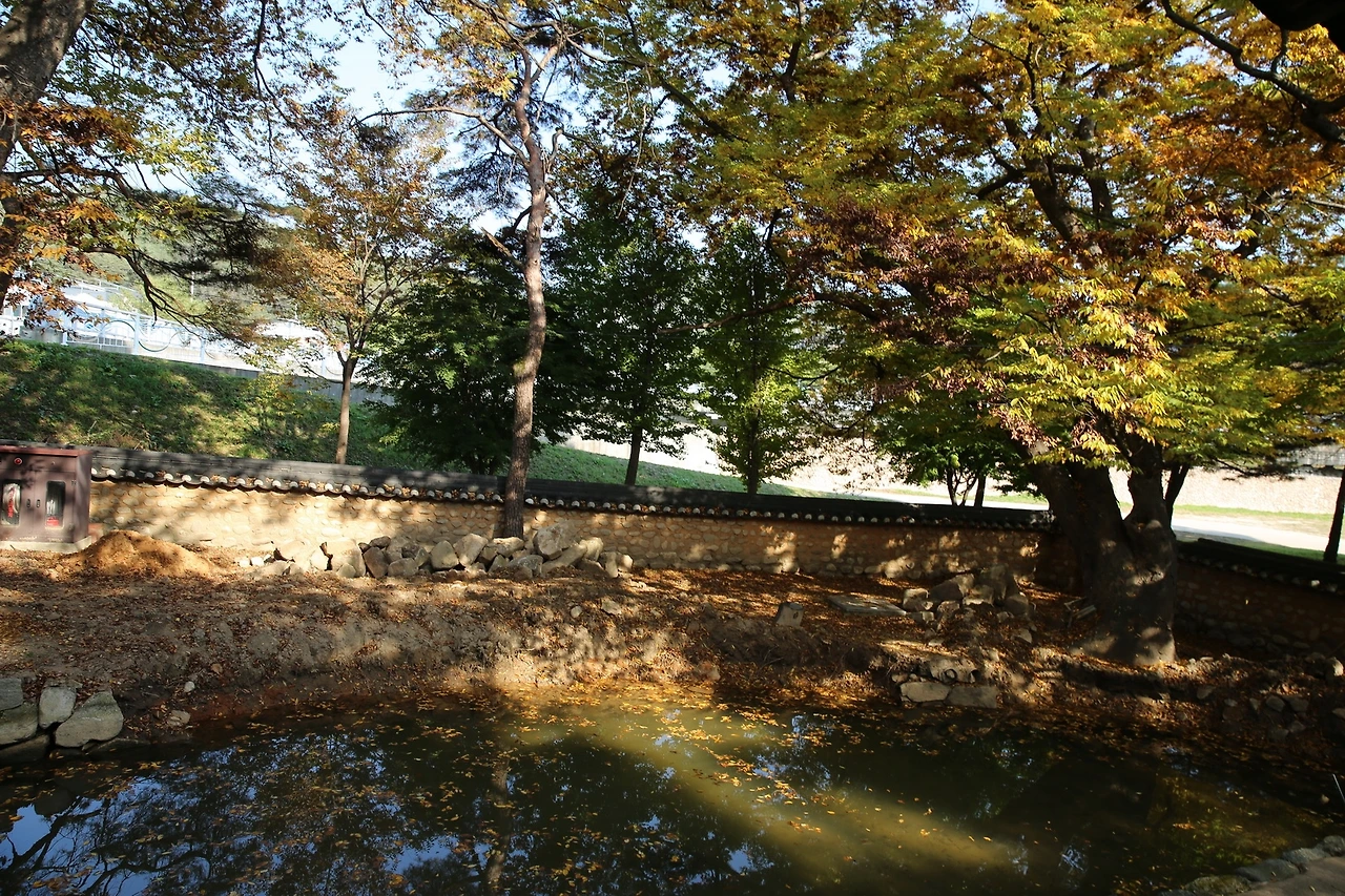 MG0A8337_новый размер.JPG