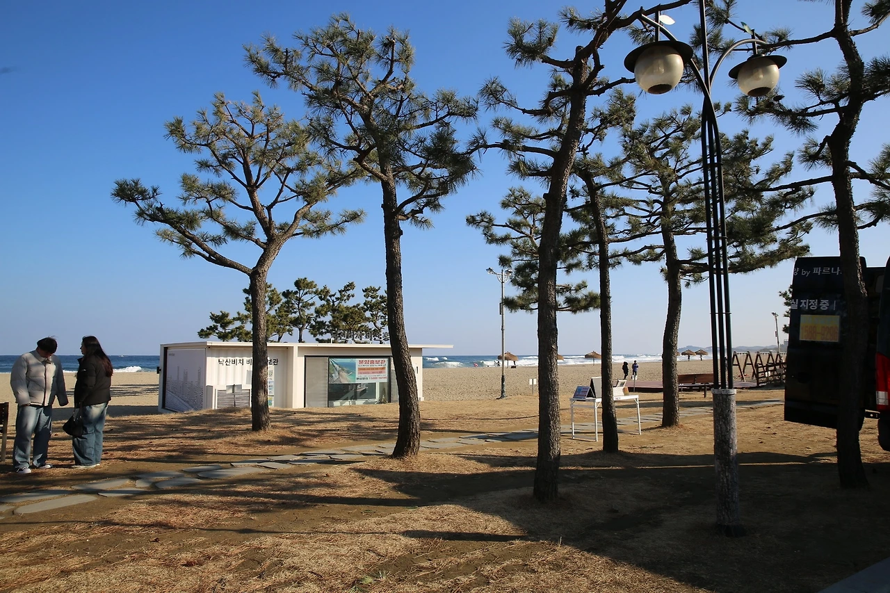 MG0A6552_новый размер.JPG