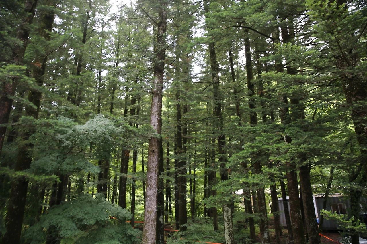 MG0A0778_новый размер - 복사본.JPG