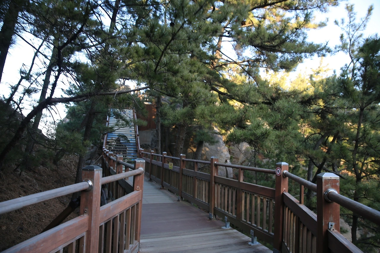 MG0A6633_новый размер.JPG