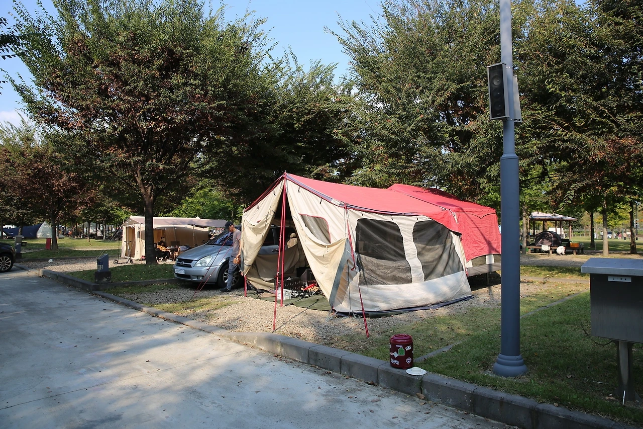 MG0A6500_новый размер.JPG