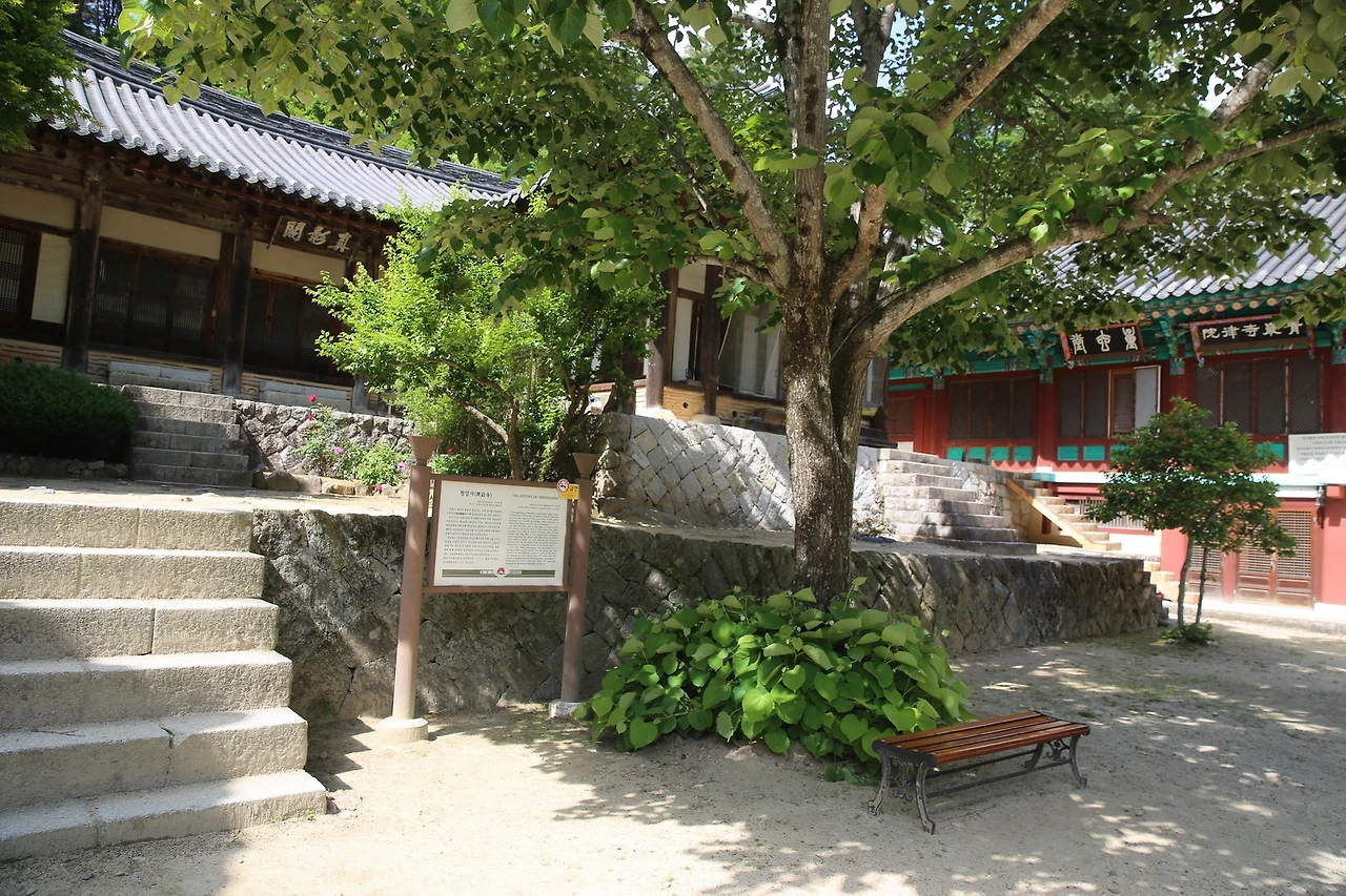 MG0A9398_новый размер.JPG