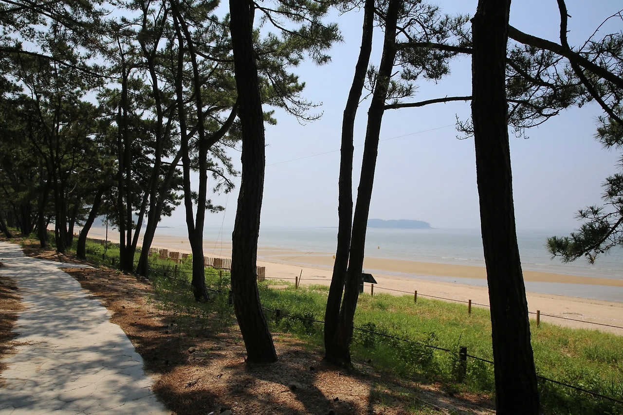 MG0A5730_новый размер.JPG