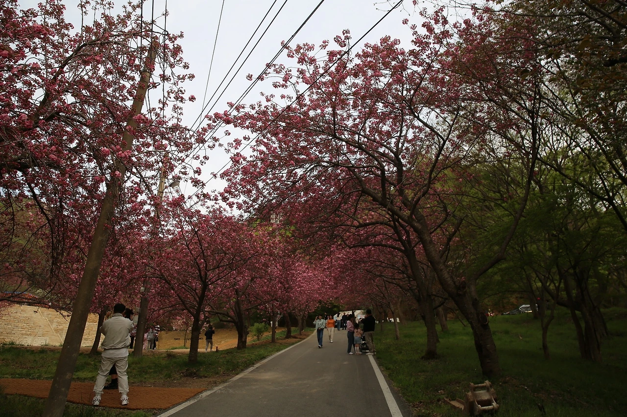 MG0A9531_новый размер.JPG