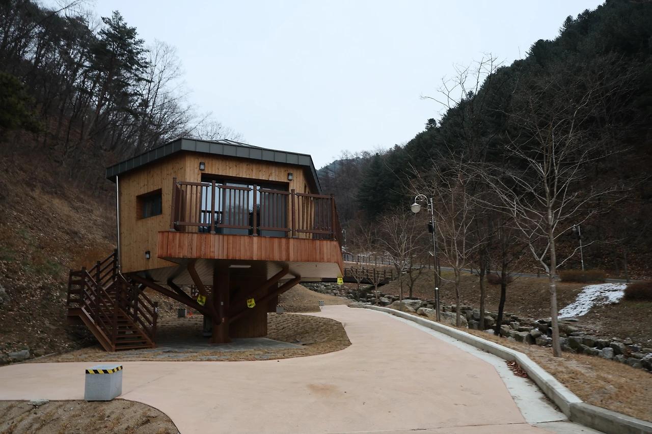 0R5A6655_новый размер.JPG