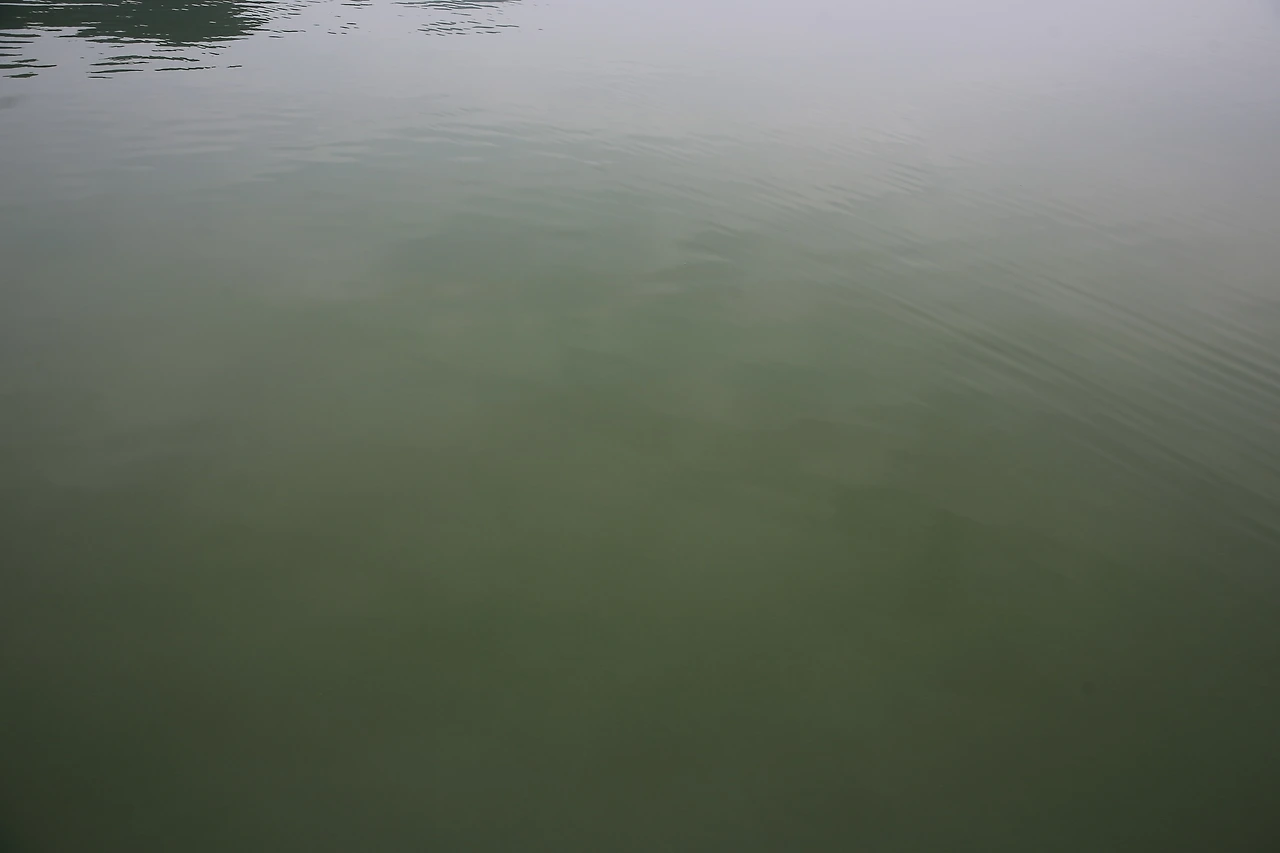 MG0A8426_новый размер.JPG