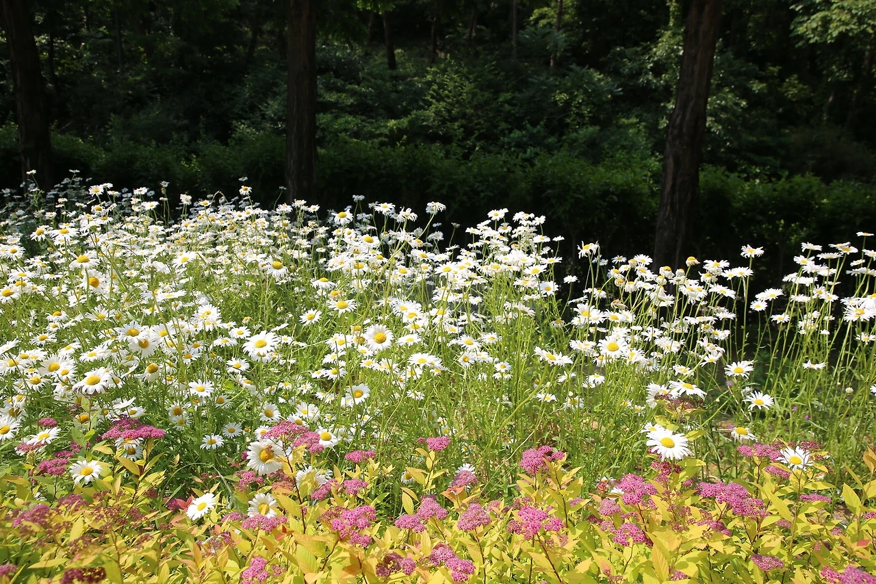 MG0A6359_новый размер.JPG